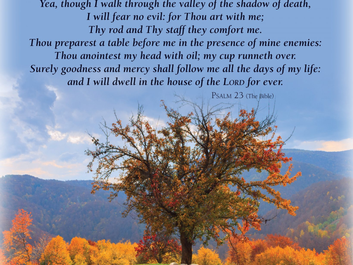 Today God Told Me That My Problem Is I Am Not Faithful&nbsp;Enough