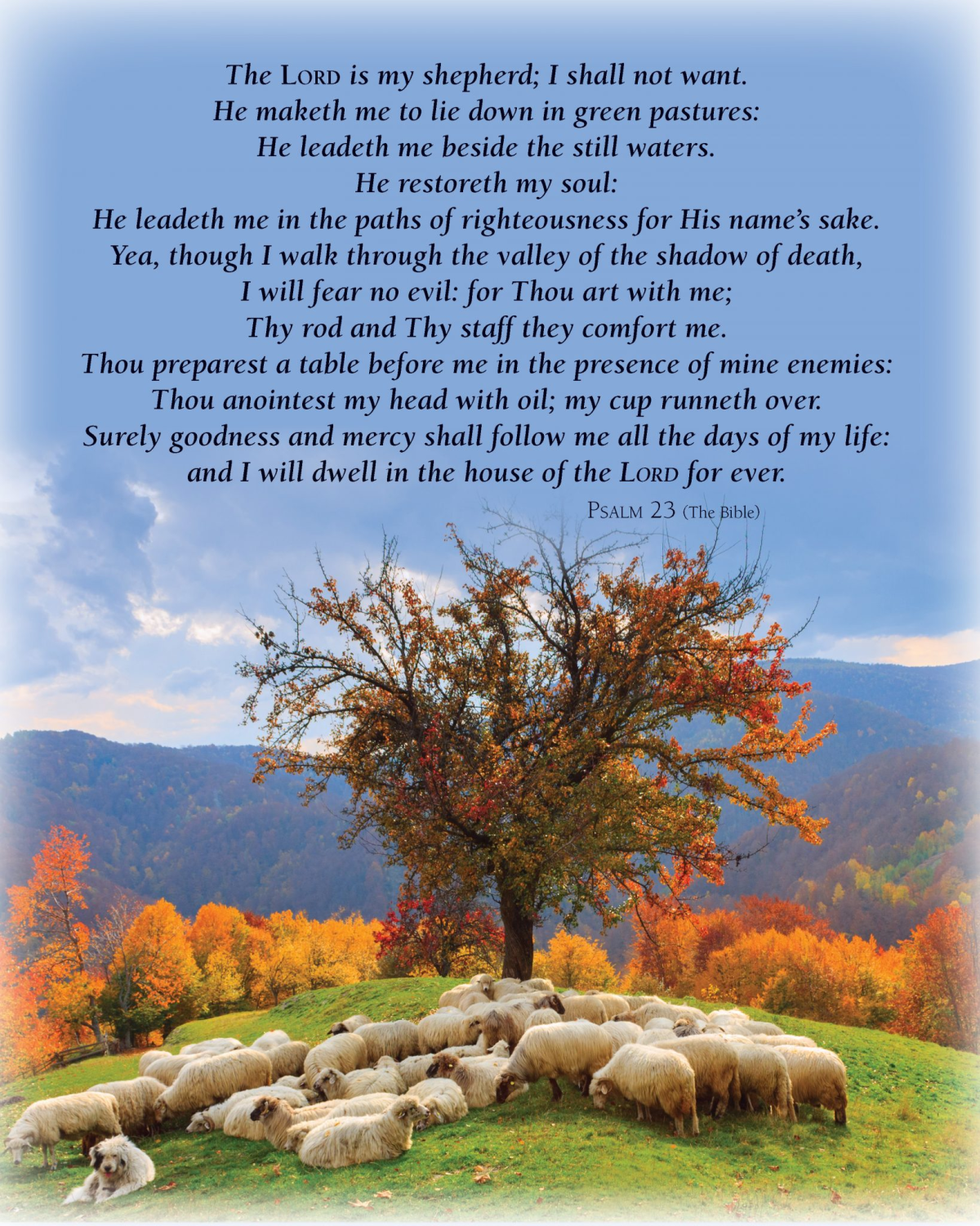 Today God Told Me That My Problem Is I Am Not Faithful&nbsp;Enough